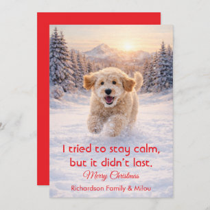 Cute Dog with Christmas Funny Quote   Holiday Card