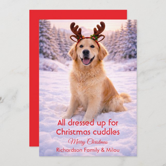 Cute Dog with Christmas Funny Quote | Holiday Card (Front/Back)