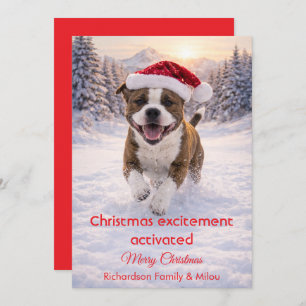 Cute Dog with Christmas Funny Quote   Holiday Card
