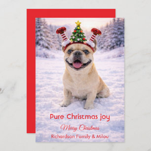 Cute Dog with Christmas Tender Quote  Holiday Card