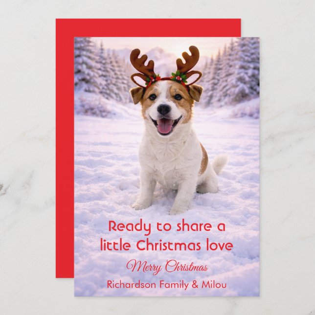 Cute Dog with Christmas Tender Quote  Holiday Card (Front/Back)