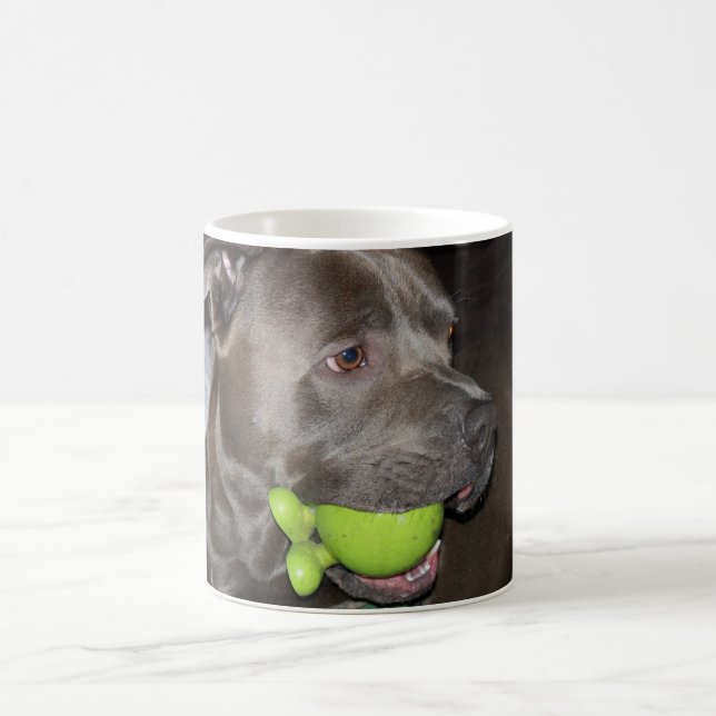 Cute Dog with Green Ball Coffee Mug (Center)