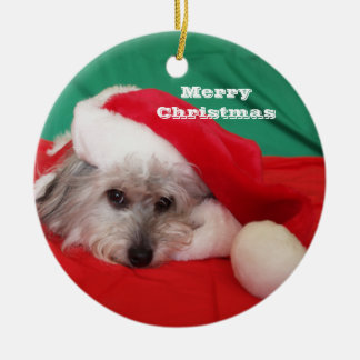 Cute Dog with Hat Christmas Ornament