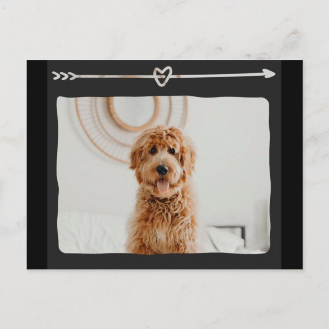 Cute Dog with Heart and Arrow Design Postcard (Front)