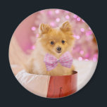 Cute Dog with Pink Bow Christmas Photo Magnet<br><div class="desc">A magnet with an adorable Christmas dog wearing a cute pink plaid bow tie. This tiny little pet is sitting inside a whimsical hat box. A white tree decorated with pink lights in the background. The lights are blurred giving it a magical bokeh effect. Darling Christmas themed photograph. Perfect for...</div>