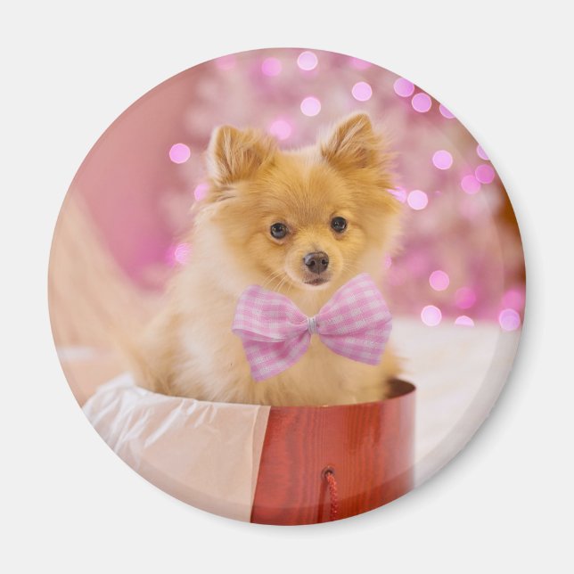 Cute Dog with Pink Bow Christmas Photo Magnet (Front)