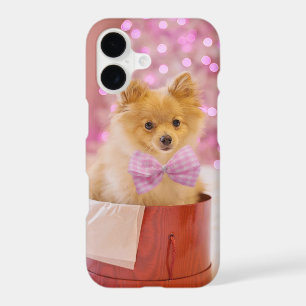 Cute Dog with Pink Bow Christmas Photograph