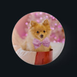 Cute Dog with Pink Bow Christmas Photograph 6 Cm Round Badge<br><div class="desc">Button with an adorable Christmas dog wearing a cute pink plaid bow tie. This tiny little pet is sitting inside a whimsical hat box. A white tree decorated with pink lights in the background. The lights are blurred giving it a magical bokeh effect. Darling Christmas themed photograph. Perfect for dog...</div>