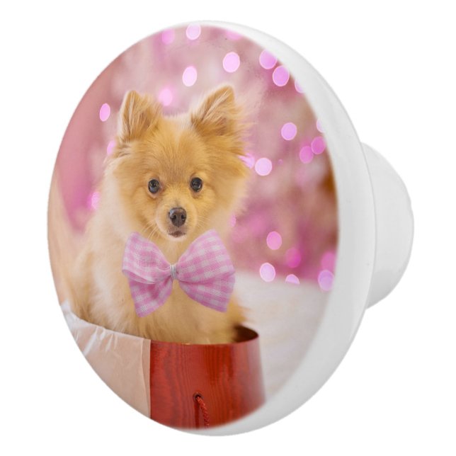 Cute Dog with Pink Bow Christmas Photograph Ceramic Knob (Right)