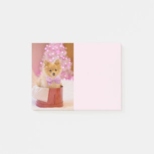 Cute Dog with Pink Bow Christmas Photograph Post-it Notes