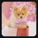 Cute Dog with Pink Bow Christmas Photograph Square Sticker<br><div class="desc">Stickers with an adorable Christmas dog wearing a cute pink plaid bow tie. This tiny little pet is sitting inside a whimsical hat box. A white tree decorated with pink lights in the background. The lights are blurred giving it a magical bokeh effect. Darling Christmas themed photograph. Perfect for dog...</div>
