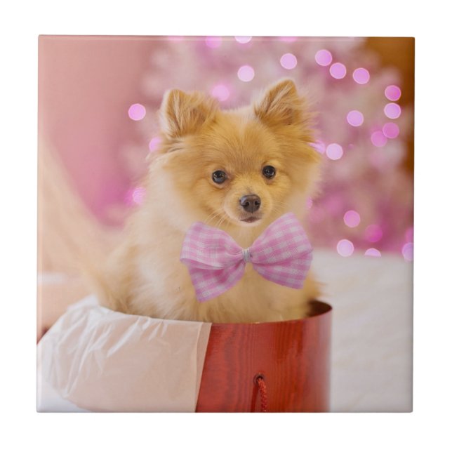 Cute Dog with Pink Bow Christmas Photograph Tile (Front)