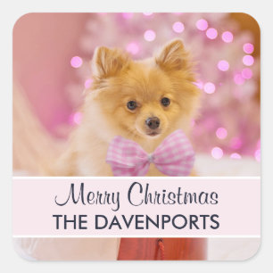 Cute Dog with Pink Bow Merry Christmas Photo Square Sticker