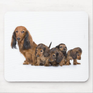 Cute dog with puppies mouse mat