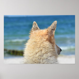Cute Dog WIth Salty Fur Looking At The Beach Poster