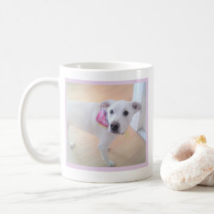 Cute Dog with Sweet Face One Photo Message Text Coffee Mug
