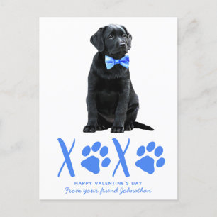 Cute Dog XOXO Kids Puppy Valentines Day Holiday Postcard