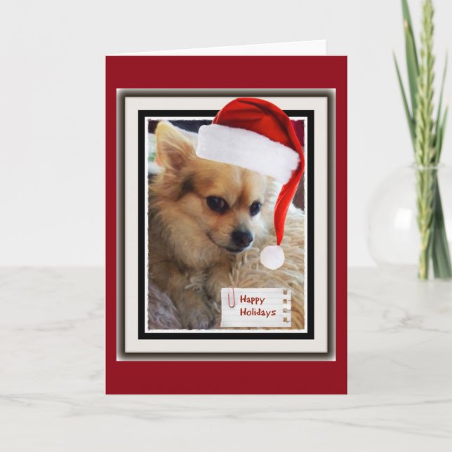 Cute Doggie Holiday Card (Front)