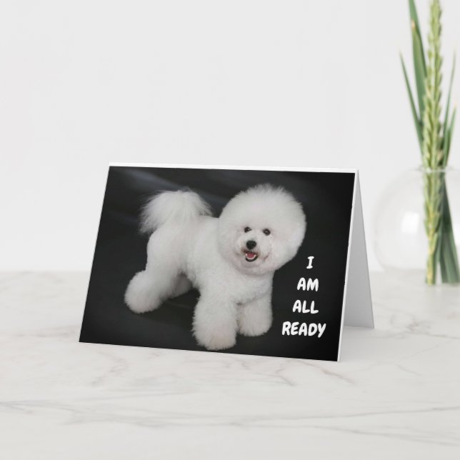 **CUTE DOGGIE WISHES** HAPPY *40th** BIRTHDAY  Card (Front)