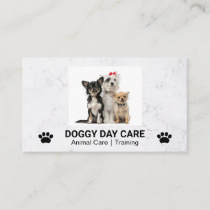 Cute Doggies Sitting   Groomer   Trainer Business Card