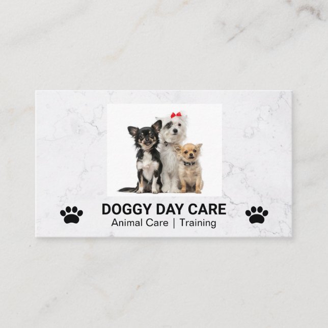 Cute Doggies Sitting | Groomer | Trainer Business Card (Front)