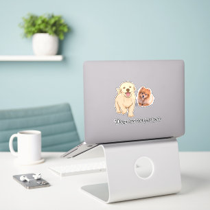 Cute dogs 