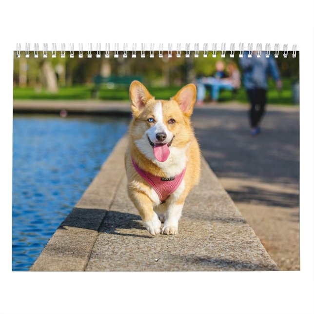 Cute Dogs 2024 Calendar (Cover)