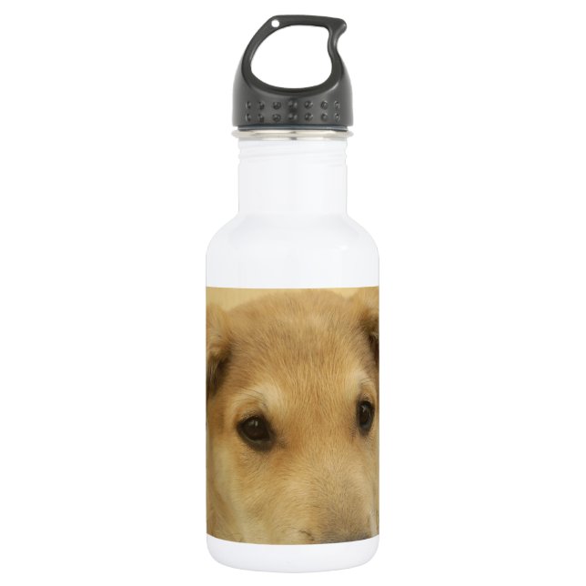 Cute Dogs and Puppies Mans second Best Friend.png 532 Ml Water Bottle (Front)