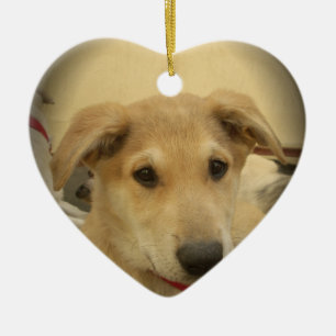 Cute Dogs and Puppies Mans second Best Friend.png Ceramic Tree Decoration