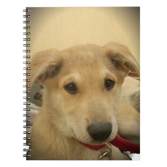 Cute Dogs and Puppies Mans second Best Friend.png Notebook (Front)