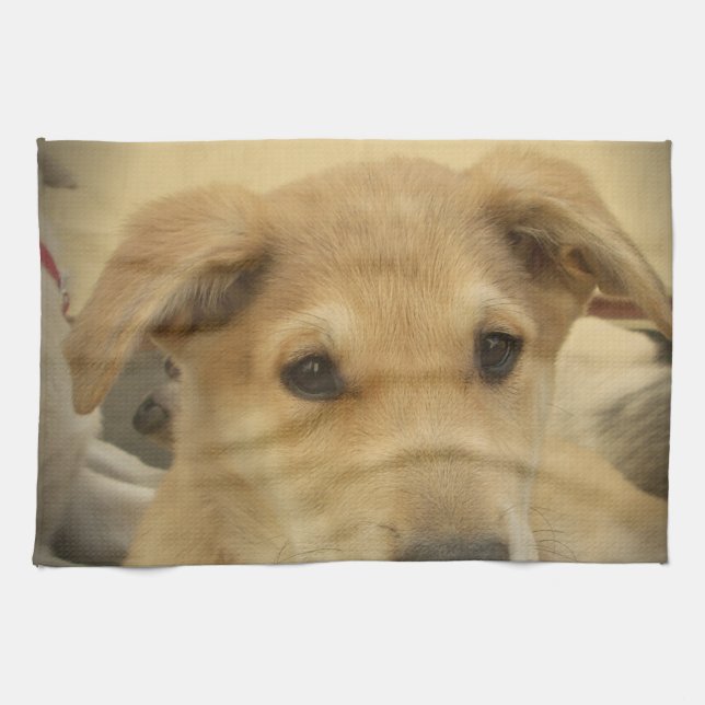 Cute Dogs and Puppies Mans second Best Friend.png Tea Towel (Horizontal)