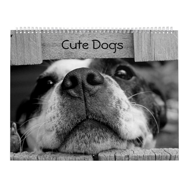 Cute Dogs Calendar (Cover)