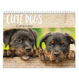cute dogs calendar 2023