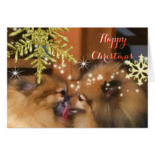 Cute Dogs Christmas Kiss Snowflake Picture Card