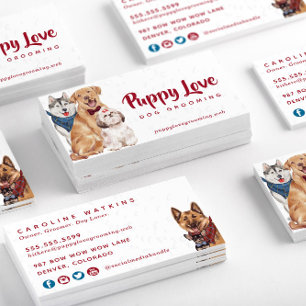 Cute Dogs Groomer Walker Sitter Business Card