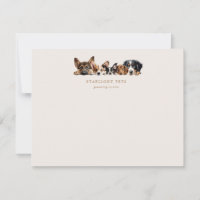 Cute Dogs Grooming Service 