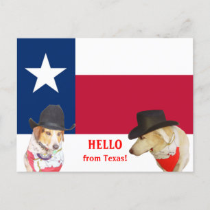 Cute Dogs Hello from Texas! Postcard