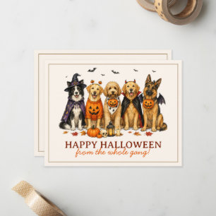 Cute Dogs in Costumes Halloween Card