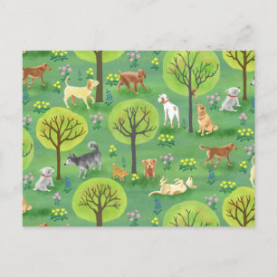 Cute Dogs in the Dog Park Postcard