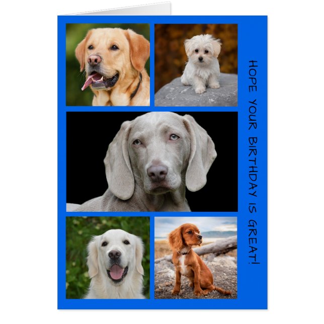 Cute Dogs Photo Birthday Collage (Front)