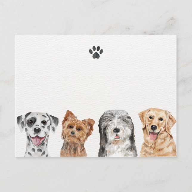 Cute dogs  postcard (Front)