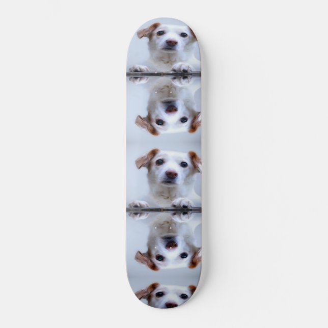 Cute Dogs Skateboard (Front)