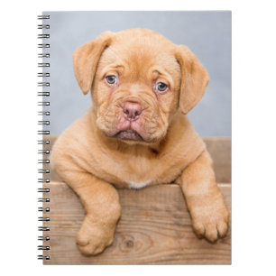 Cute Dogue De Bordeaux Puppy Dog Notebook