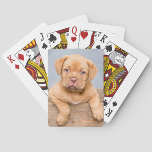 Cute Dogue De Bordeaux Puppy Dog Playing Cards