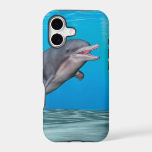 Cute Dolphin