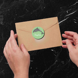 Cute dolphin - add name classic round sticker