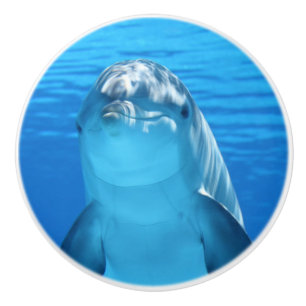 Cute dolphin ceramic knob