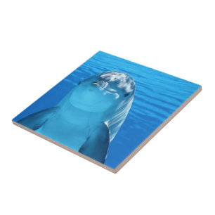 Cute Dolphin In The Ocean Tile