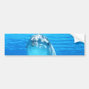 Cute Dolphin Marine Animal in Blue Sea Bumper Sticker