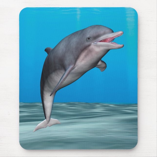 Cute Dolphin Mouse Mat (Front)